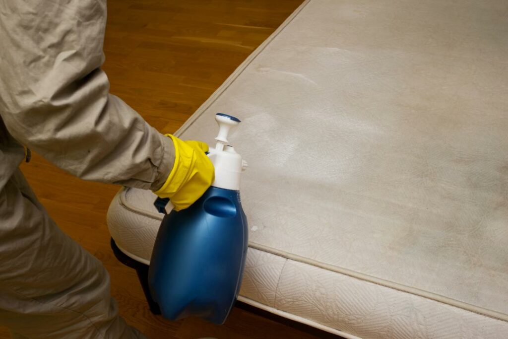 disinfecting a mattress