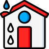 leaky roof