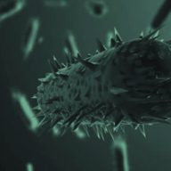 bacteria-img
