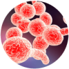 microbacteria_3